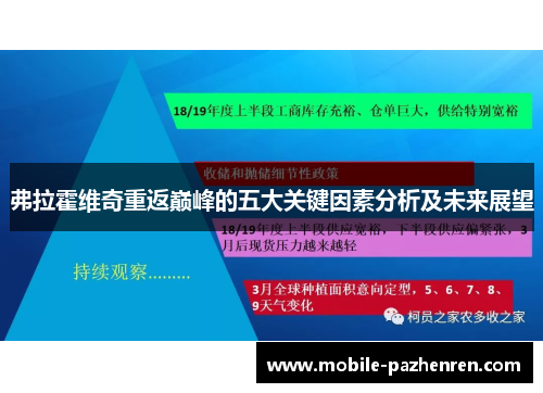 弗拉霍维奇重返巅峰的五大关键因素分析及未来展望