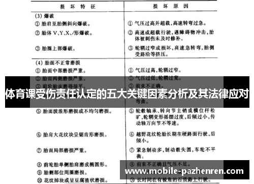 体育课受伤责任认定的五大关键因素分析及其法律应对