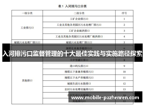 入河排污口监督管理的十大最佳实践与实施路径探索