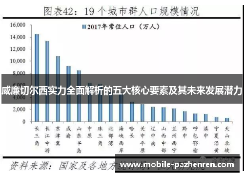 威廉切尔西实力全面解析的五大核心要素及其未来发展潜力
