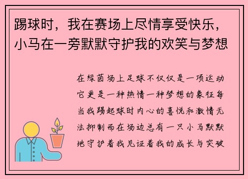 踢球时，我在赛场上尽情享受快乐，小马在一旁默默守护我的欢笑与梦想