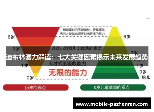 迪布林潜力解读:七大关键因素揭示未来发展趋势 迪布林潜力解读:七大关键因素揭示未来发展趋势