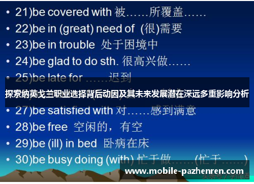 探索纳英戈兰职业选择背后动因及其未来发展潜在深远多重影响分析