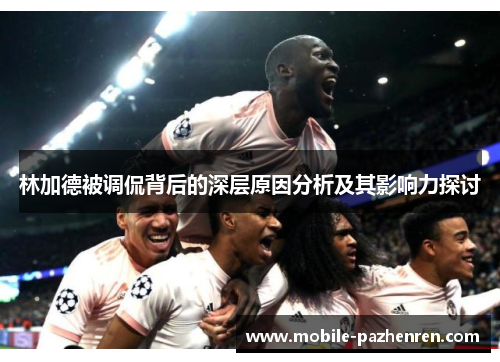 林加德被调侃背后的深层原因分析及其影响力探讨 林加德被调侃背后的深层原因分析及其影响力探讨