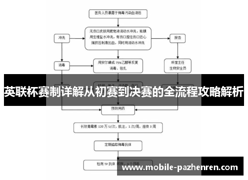 英联杯赛制详解从初赛到决赛的全流程攻略解析 英联杯赛制详解从初赛到决赛的全流程攻略解析