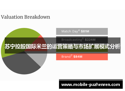 苏宁控股国际米兰的运营策略与市场扩展模式分析 苏宁控股国际米兰的运营策略与市场扩展模式分析