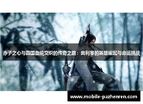 赤子之心与四国血统交织的传奇之路:奥利塞的英雄崛起与命运挑战 赤子之心与四国血统交织的传奇之路:奥利塞的英雄崛起与命运挑战