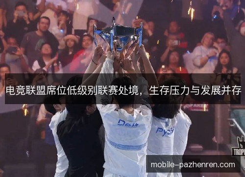 电竞联盟席位低级别联赛处境,生存压力与发展并存 电竞联盟席位低级别联赛处境,生存压力与发展并存